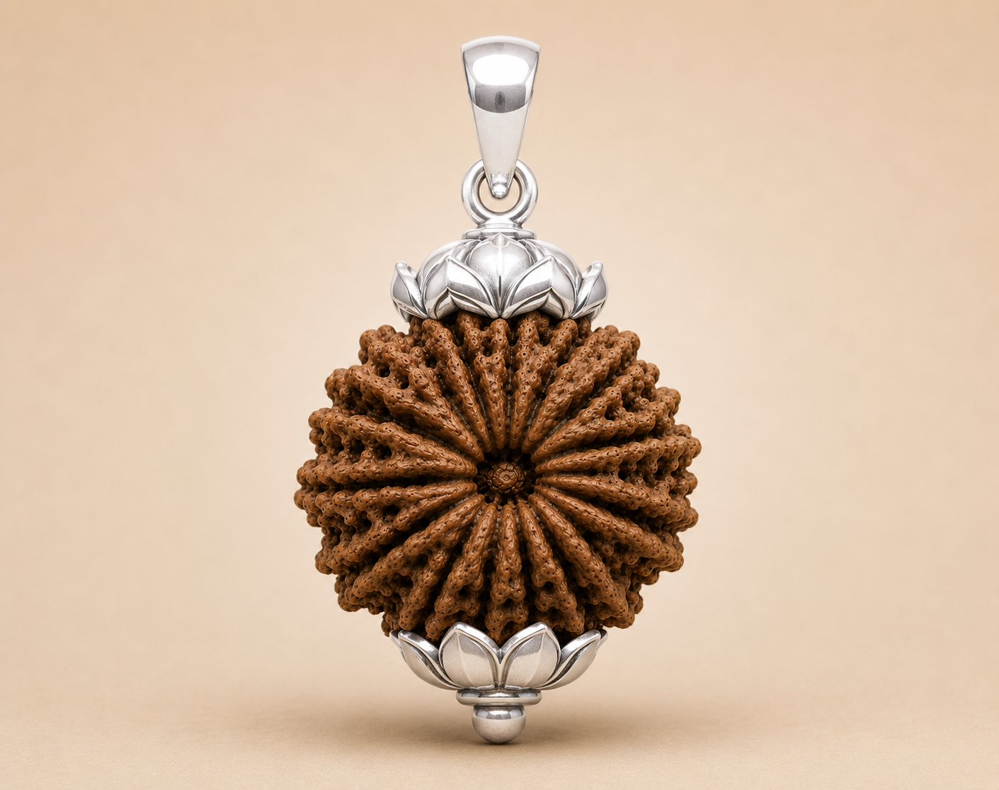 15 Mukhi Rudraksha (Nepal Origin)